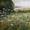 Beyond Cleeve Common