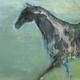 Black Horse | (sold) | 50 x 40cm | Oil on canvas Black Horse