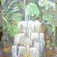 Viridian Falls
