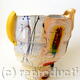 Big jug 2006