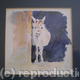 Knobbly Knees | (sold) | 15 x 15cm | watercolour Knobbly Knees