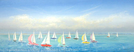Mermaid Yachts Sailing Race