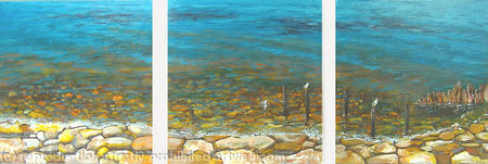 Rocky Shore and Seagulls