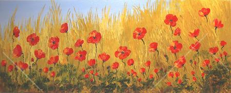 Natural Poppy Field