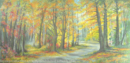 Sunny Autumn Woodland Colours