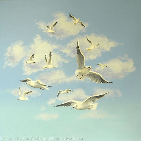 Seagulls in the Sky