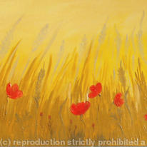 Gold Poppy Field