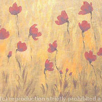 Dusky Poppy field 