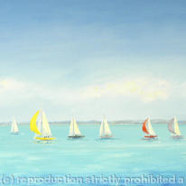 Yacht Race