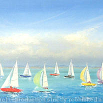 Mermaid Yachts Sailing Race