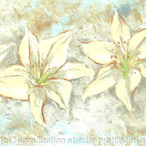 Lilies