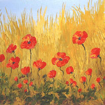 Natural Poppy Field