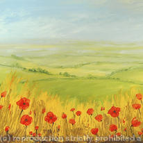 The Edge of the Poppy Field