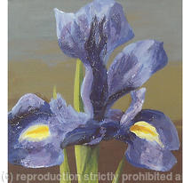 Irises Triptych
