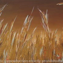 Gold Field