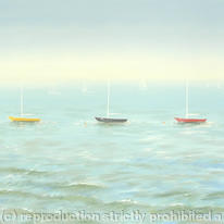 3 moorings
