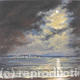 Moonlight over the Spinnaker…