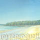 Priory Bay