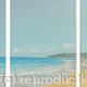 Low Tide Triptych