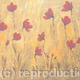 Dusky Poppy field 