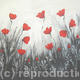Black and Silver Poppy…