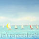Yacht Race