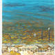 Rocky Shore and Seagulls