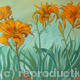 Orange Lilies