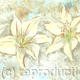 Lilies
