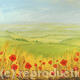 The Edge of the Poppy…