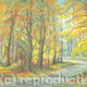 Sunny Autumn Woodland…