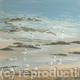 Seagull Reflections