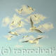 Seagulls in the Sky