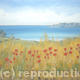 Poppies by the Sea