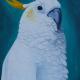 Sitting Proud | £295 | 30 x 40cm | Acrylics on Canvas Sitting Proud