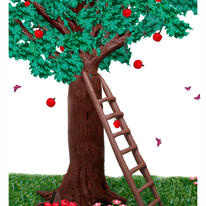 apple tree