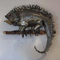 Iguana