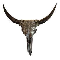 Steer-Skull