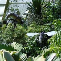 Flies in situ at Kew
