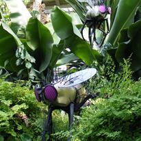 Flies in situ at Kew