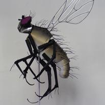 Fly Climbing 1