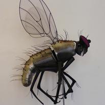 Fly Climbing 2