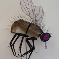 Fly Diving 1