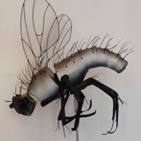 Fly Diving 2