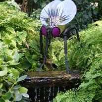 fly drinking at waterfall in situ at Kew