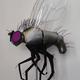 fly pic for web