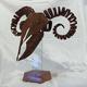 Ram Skull | | 47 x 36cm | Rusted Steel Ram Skull