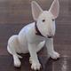 Bull-Terrier | | 30 x 40cm | Ceramic/ Leather Dog Collar Bull-Terrier