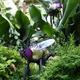Flies in situ at Kew | | 60 x 40cm | Recycled Tin-Cans Flies in situ at Kew