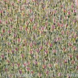 Lavender - Butterfly - Acrylic on Canvas